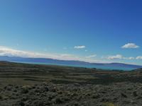 Fahrt nach El Calafate