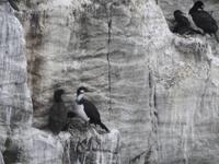 Stanley Falklandinseln