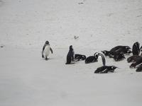 Stanley Falklandinseln