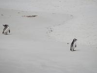 Stanley Falklandinseln