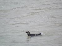 Stanley Falklandinseln