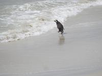 Stanley Falklandinseln