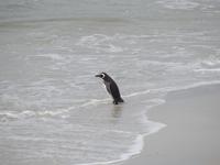 Stanley Falklandinseln