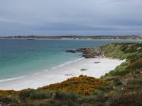 Stanley Falklandinseln Gypsy Cove