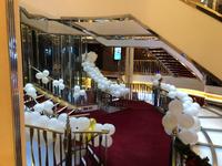 an Bord der Norwegian Star