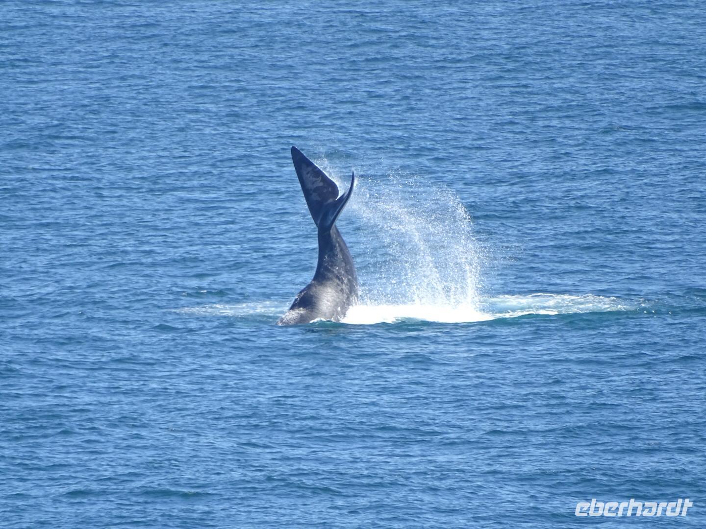 Waltag - Foto von Jörg