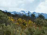Feuerland Nationalpark Ushuaia