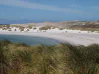 Falklandinseln - Gypsy Cove