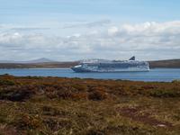Norwegian Star - Falklandinseln