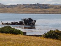 Falklandinseln, Stanley