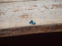 Iguazu Wasserfälle, Argentinien