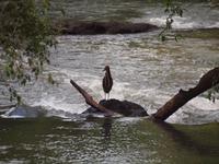 Iguazu Wasserfälle, Argentinien