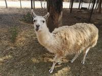 Auf dem Weg nach San Antonio