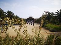 Auf dem Weg nach San Antonio