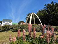 Falklandinseln, Stanley