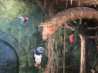 Museo Delta Sitio Inti Nan Solarmuseum - San Antonio Ecuador