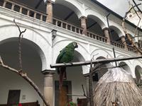 Ecuador Quito       Kloster von San Francisco Quito