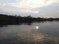 Cuyabeno Lagoon Ecuador