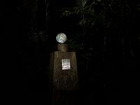 Nachtwanderung Ecuador