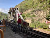 Transandenbahn Ecuador