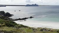 Norwegian Star, Falkland Inseln