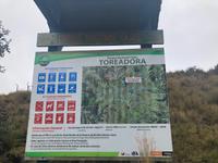 Ecuador Nationalpark Cajas
