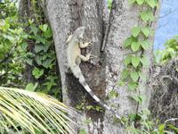 Ecoreservat Nähe Guayaquil