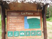 Mangrovenwald Ecuador