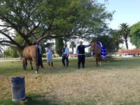 57_Stadtrundfahrt Montevideo