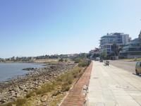 59_Stadtrundfahrt Montevideo