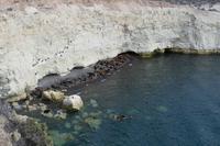 61_Ausflug Puerto Madryn