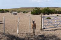63_Ausflug Puerto Madryn