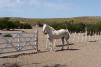 65_Ausflug Puerto Madryn