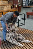 66_Ausflug Puerto Madryn