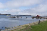 78_Stanley Falkland Inseln