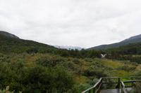 90_Ushuaia Feuerland Nationalpark