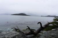 95_Ushuaia Feuerland Nationalpark