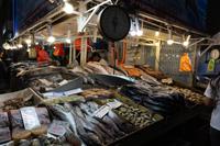 152_Santiago de Chile