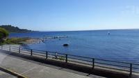 18_Puerto Montt; Ausflug Rosales NP, Frutillar, Osorno (12)