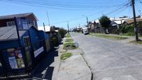 18_Puerto Montt; Ausflug Rosales NP, Frutillar, Osorno (14)