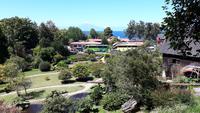 18_Puerto Montt; Ausflug Rosales NP, Frutillar, Osorno (18)