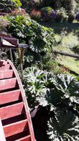 18_Puerto Montt; Ausflug Rosales NP, Frutillar, Osorno (23)