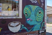 Chile und Osterinsel -  Valparaiso - Graffitis (5)