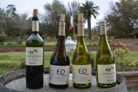 Chile und Osterinsel -  Weingut Matetic (10)