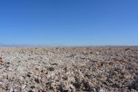 Chile und Osterinsel -  Salzsee Laguna Chaxa (2)