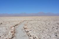 Chile und Osterinsel -  Salzsee Laguna Chaxa (3)