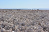 Chile und Osterinsel -  Salzsee Laguna Chaxa (4)