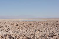 Chile und Osterinsel -  Salzsee Laguna Chaxa (5)