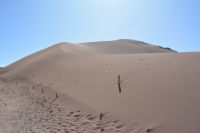 Chile und Osterinsel - Atacama-Wüste  - Mondtal (10)