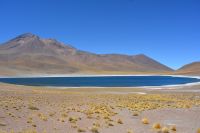 Chile und Osterinsel - Atacama-Wüste - Lagune Meniques (1)